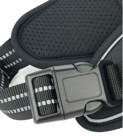 RoyalPaw™ No-Pull Dog Harness – Adjustable, Easy-On Adventure Harness for Daily Walks & Outdoor Activities