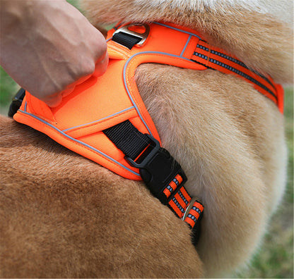 RoyalPaw™ No-Pull Dog Harness – Adjustable, Easy-On Adventure Harness for Daily Walks & Outdoor Activities