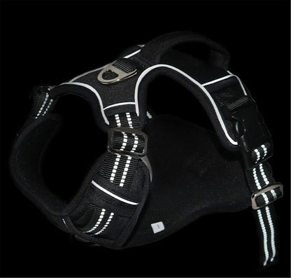 RoyalPaw™ No-Pull Dog Harness – Adjustable, Easy-On Adventure Harness for Daily Walks & Outdoor Activities