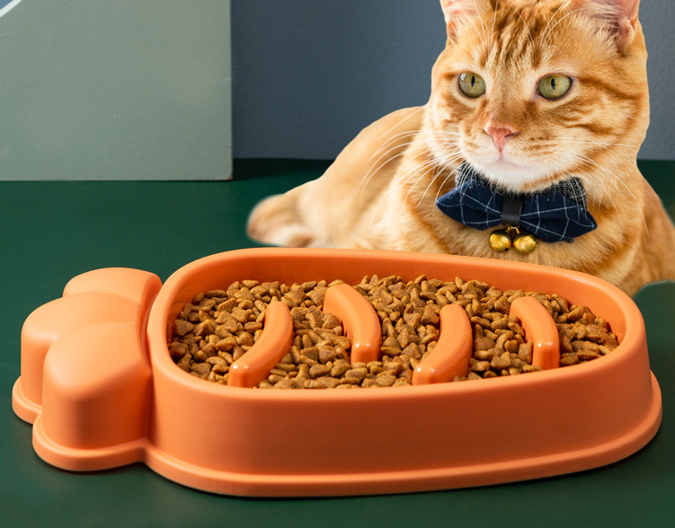 PawBalance™ Slow Feeder Bowl for Dogs & Cats – Maze Design Stops Fast Eating, Dishwasher Safe